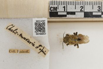 Media type: image;   Entomology 788857 Aspect: Labels